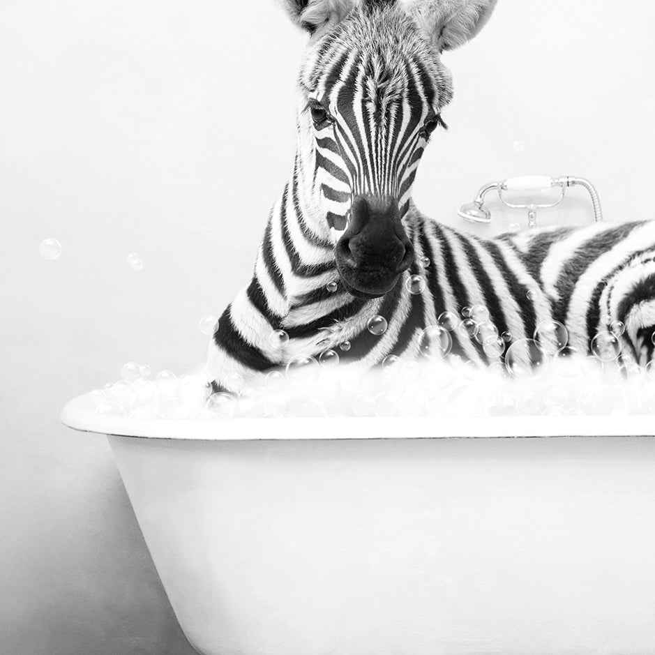 a baby zebra laying in a bathtub next to an adult zebra