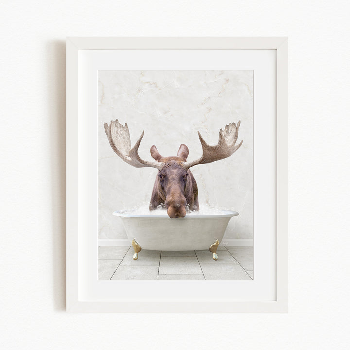 A moose with large antlers is sitting in a white bathtub, appearing to enjoy the bath.