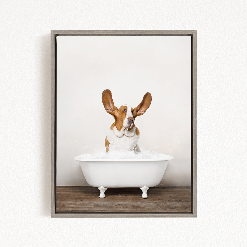 A brown and white dog sitting in a white bathtub filled with bubbles, looking up at the camera with its ears perked up.