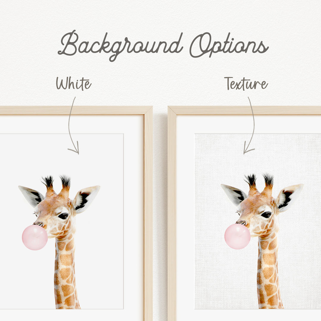a giraffe blowing a bubble with a pink bubble gum bubble.