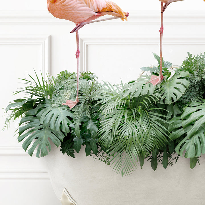 two flamingos are standing on top of a plant