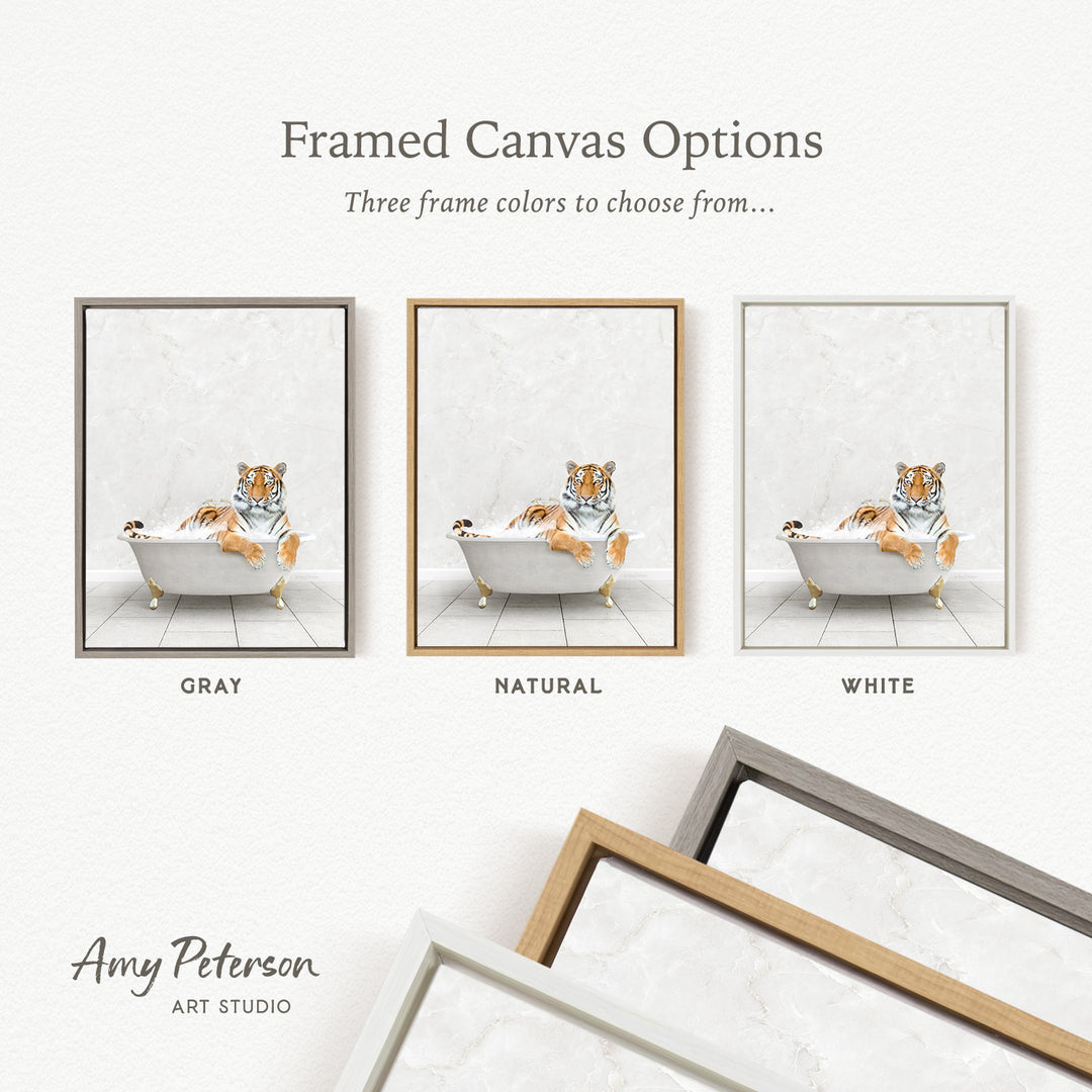 The image is a framed canvas option featuring three different color options for a painting of a tiger in a bathtub, with each color represented by a different frame style.