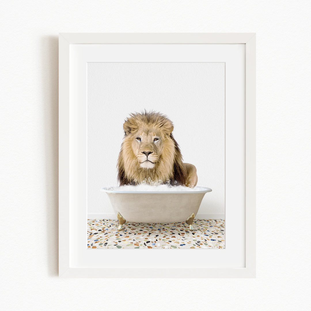 A lion sitting in a bathtub filled with water, looking directly at the camera.