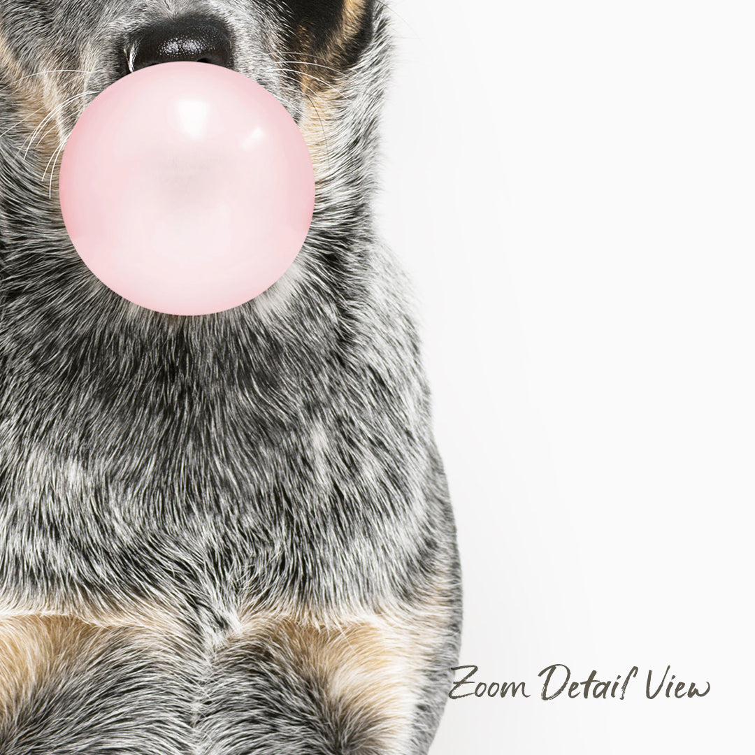 A close-up of a dog's face holding a pink bubble gum bubble, with the text "Zoom Detail View" at the bottom.