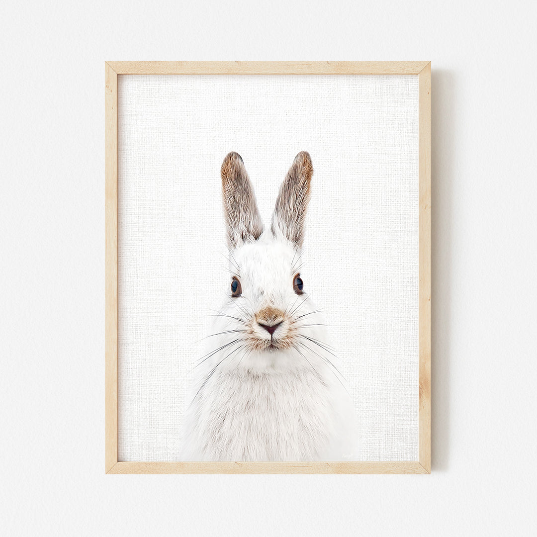 a picture of a white rabbit in a wooden frame