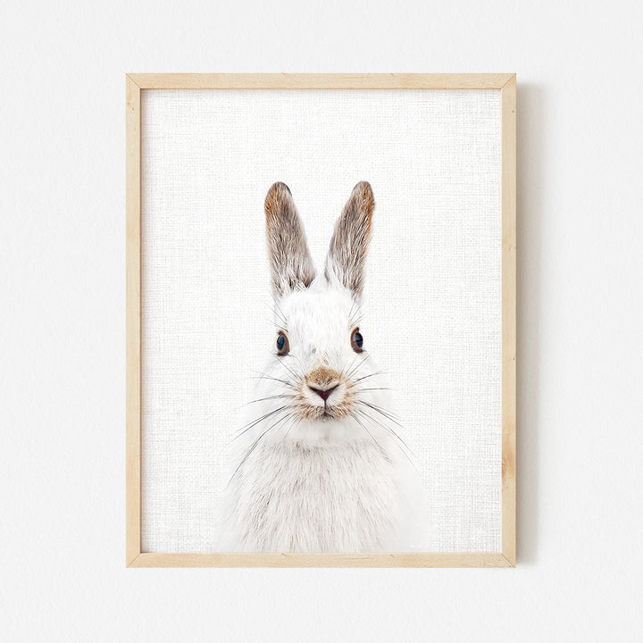 a picture of a white rabbit in a wooden frame