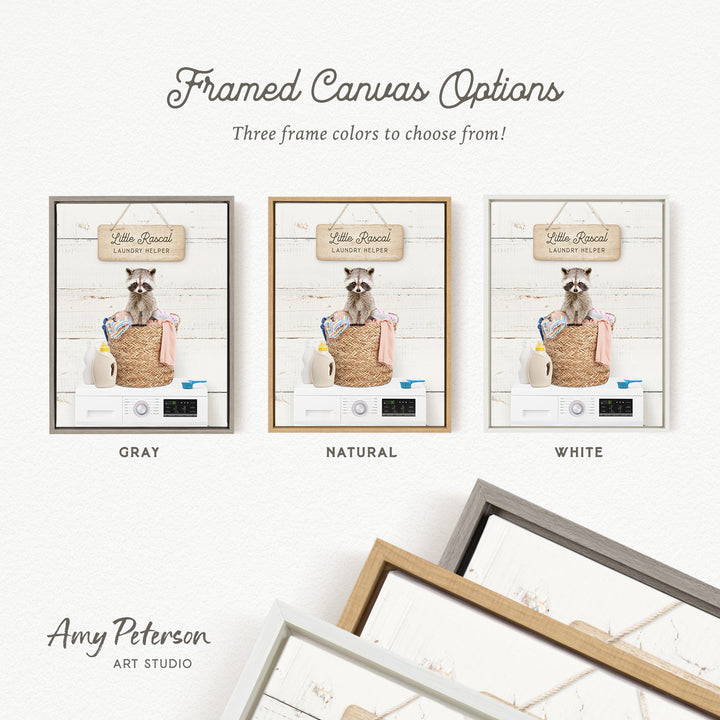 The image is a framed canvas option featuring three different color options for a framed artwork depicting a raccoon.