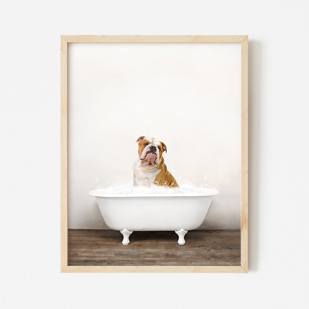 a bulldog taking a bath in a bathtub