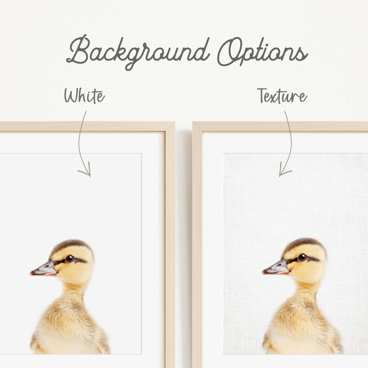 a close-up of a baby duckling's head, with a white background and a wooden frame.