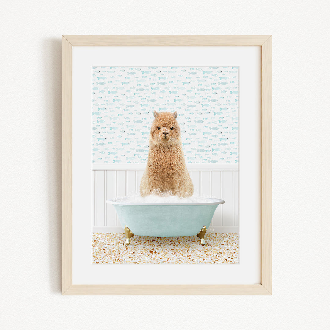 A fluffy brown dog sitting in a light blue bathtub filled with bubbles, with a patterned wall behind it.