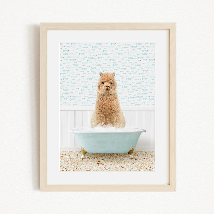 A fluffy brown dog sitting in a light blue bathtub filled with bubbles, with a patterned wall behind it.
