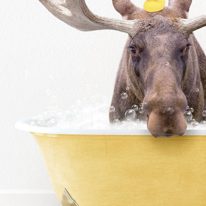 a moose in a bathtub with bubbles on its head