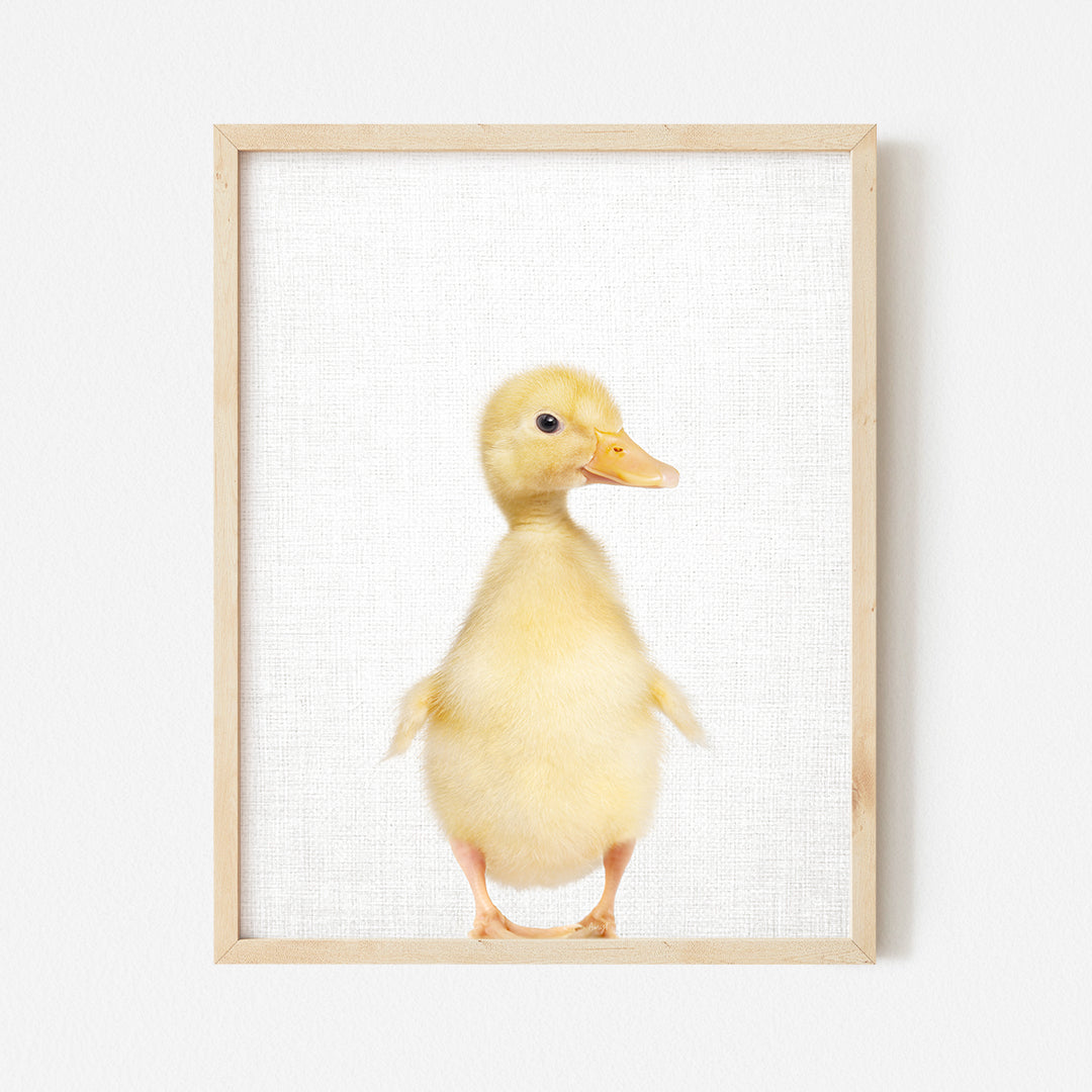 a small yellow duck in a wooden frame