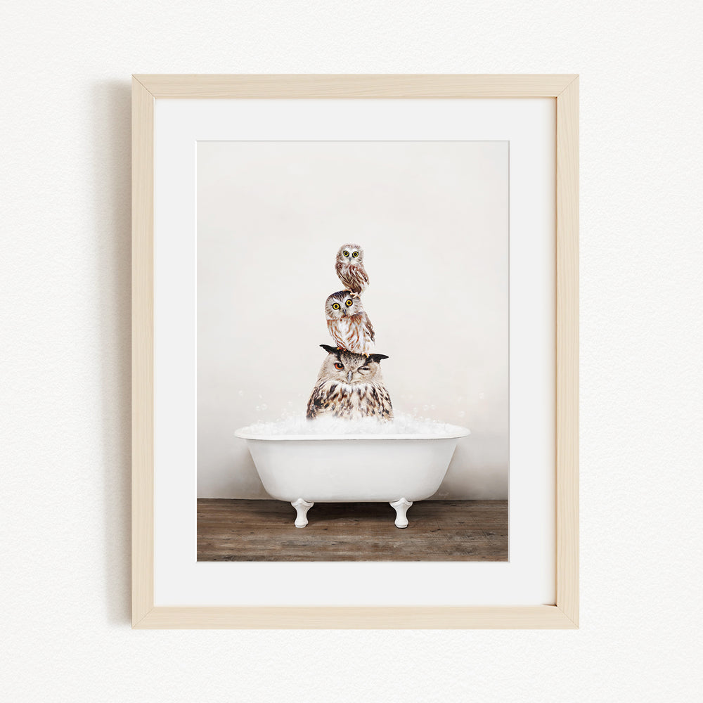 A framed image depicting a group of owls sitting in a white bathtub, with one owl perched on top of the others.