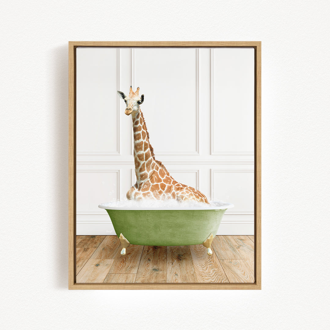A giraffe is sitting in a green bathtub, surrounded by a white wall and wooden floor.