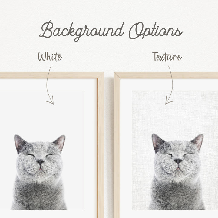 a gray cat with its eyes closed, and there are two framed pictures of the cat with different backgrounds.