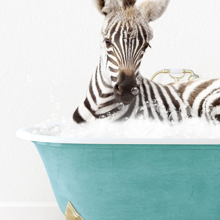 a baby zebra laying in a bath tub