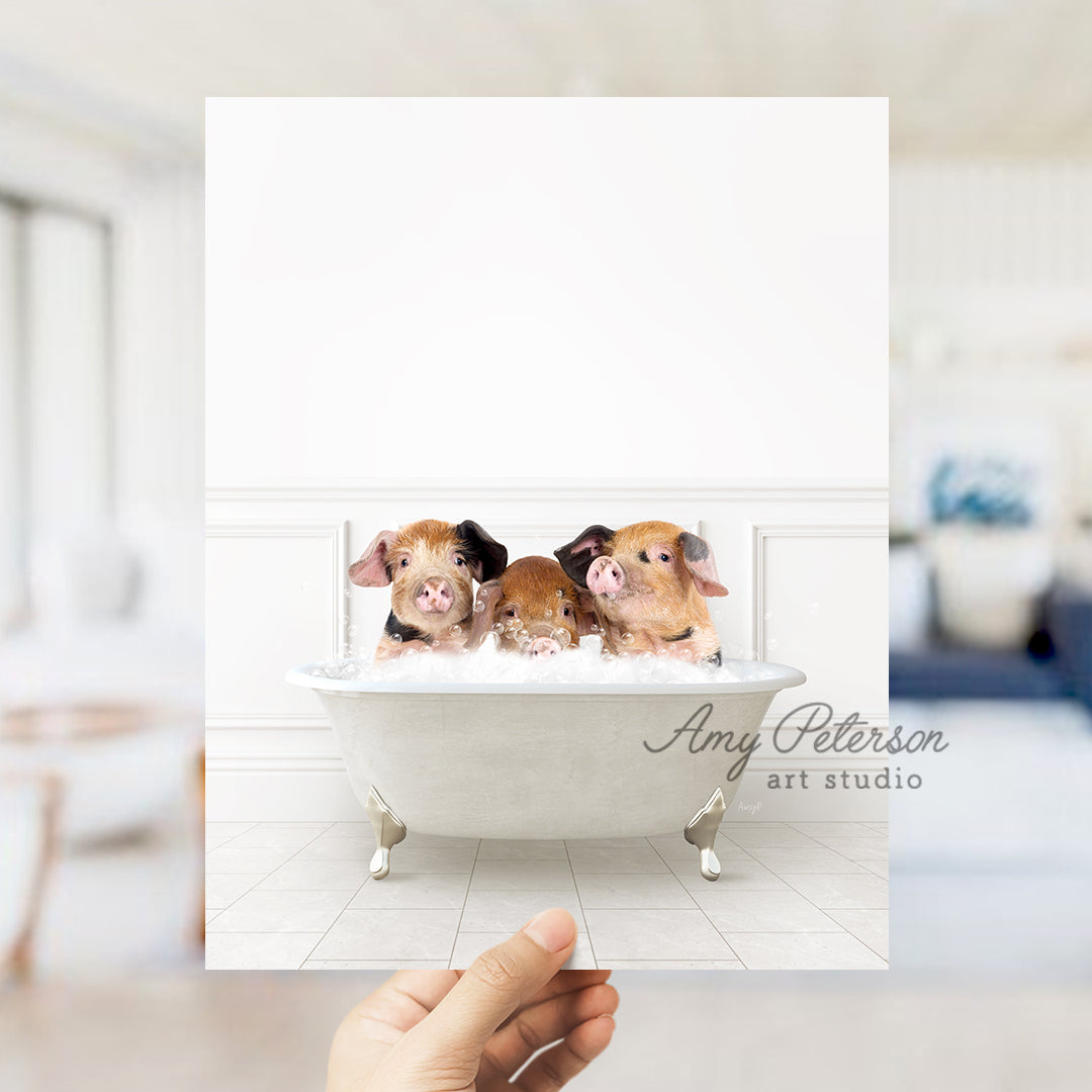 a person holding up a card with three small dogs in a bathtub