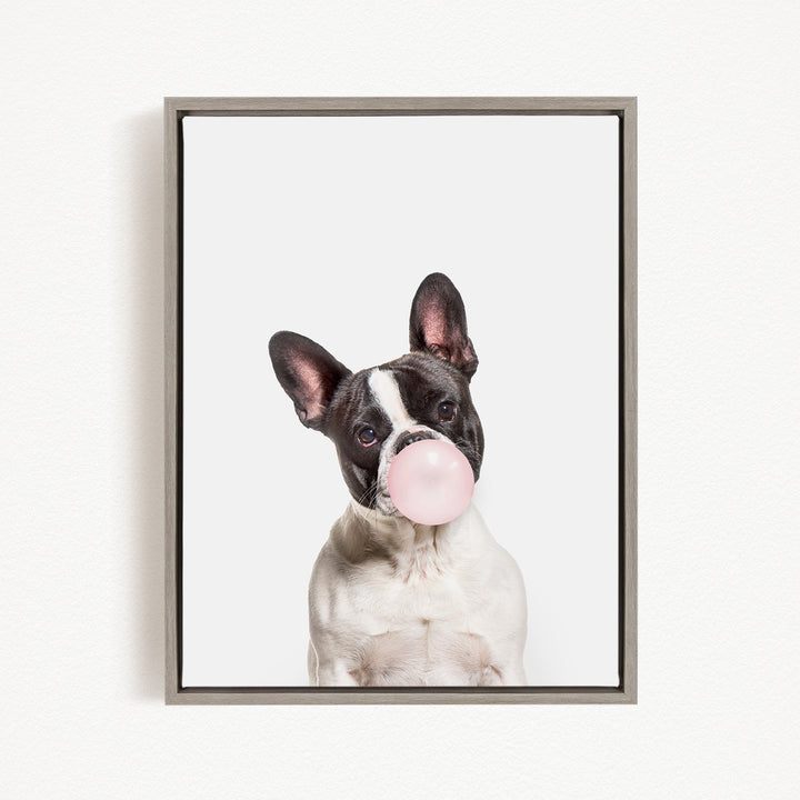 A black and white dog with a pink bubble gum bubble in its mouth, looking directly at the camera.