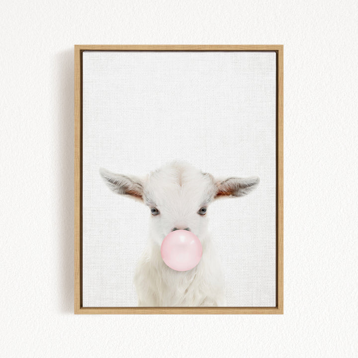A white goat with pink bubble gum blowing in its mouth is the main subject of the image.