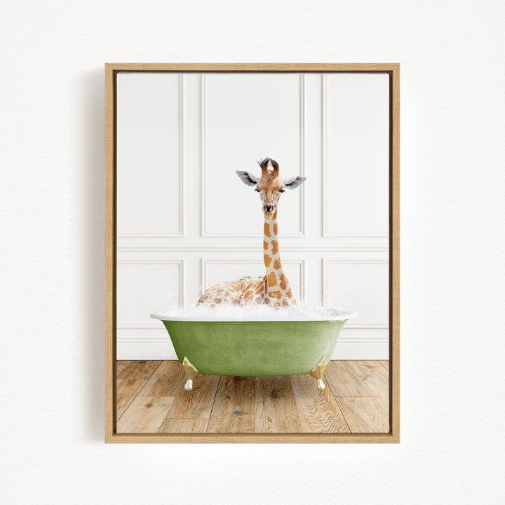 A giraffe sitting in a green bathtub filled with bubbles, looking directly at the camera.