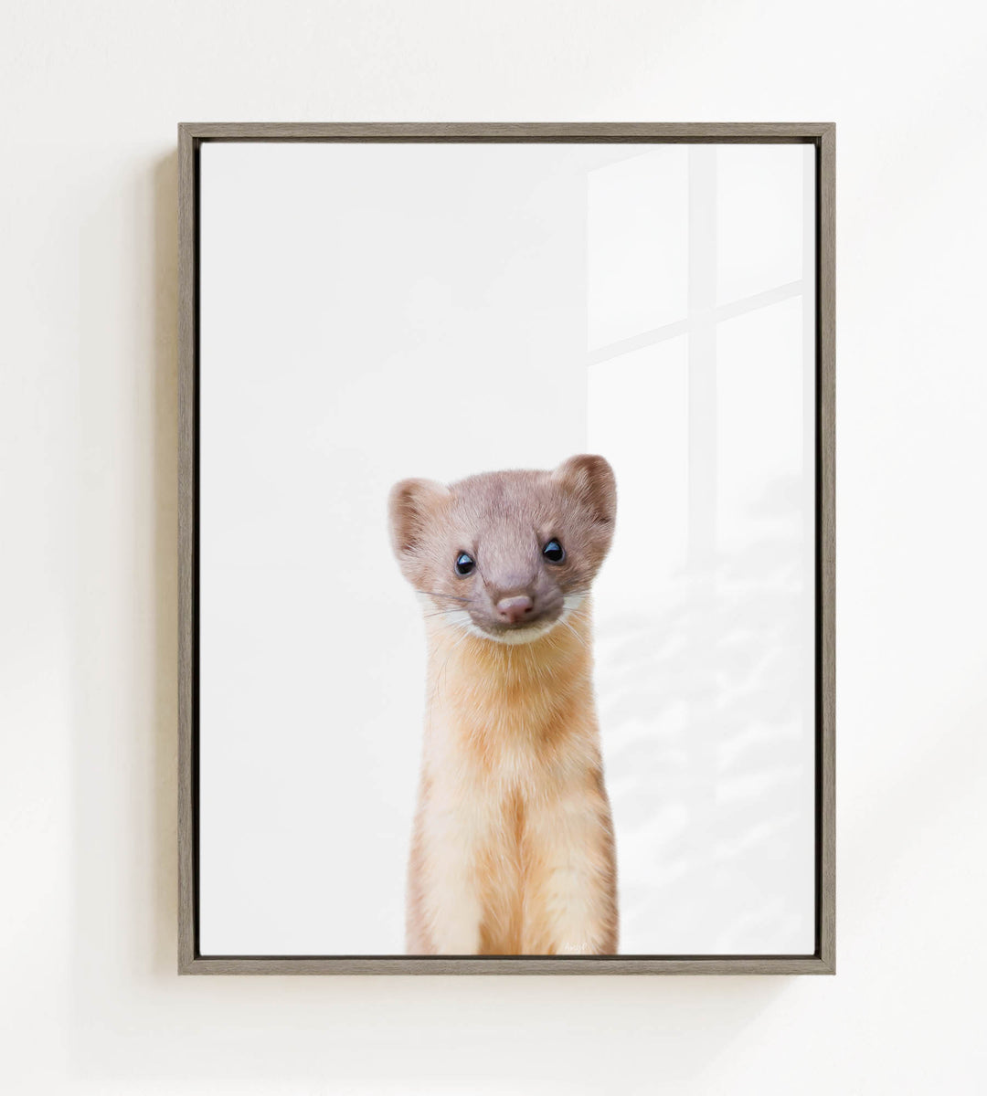 A small brown and white animal, possibly a rodent or a ferret, is standing upright and looking directly at the camera.
