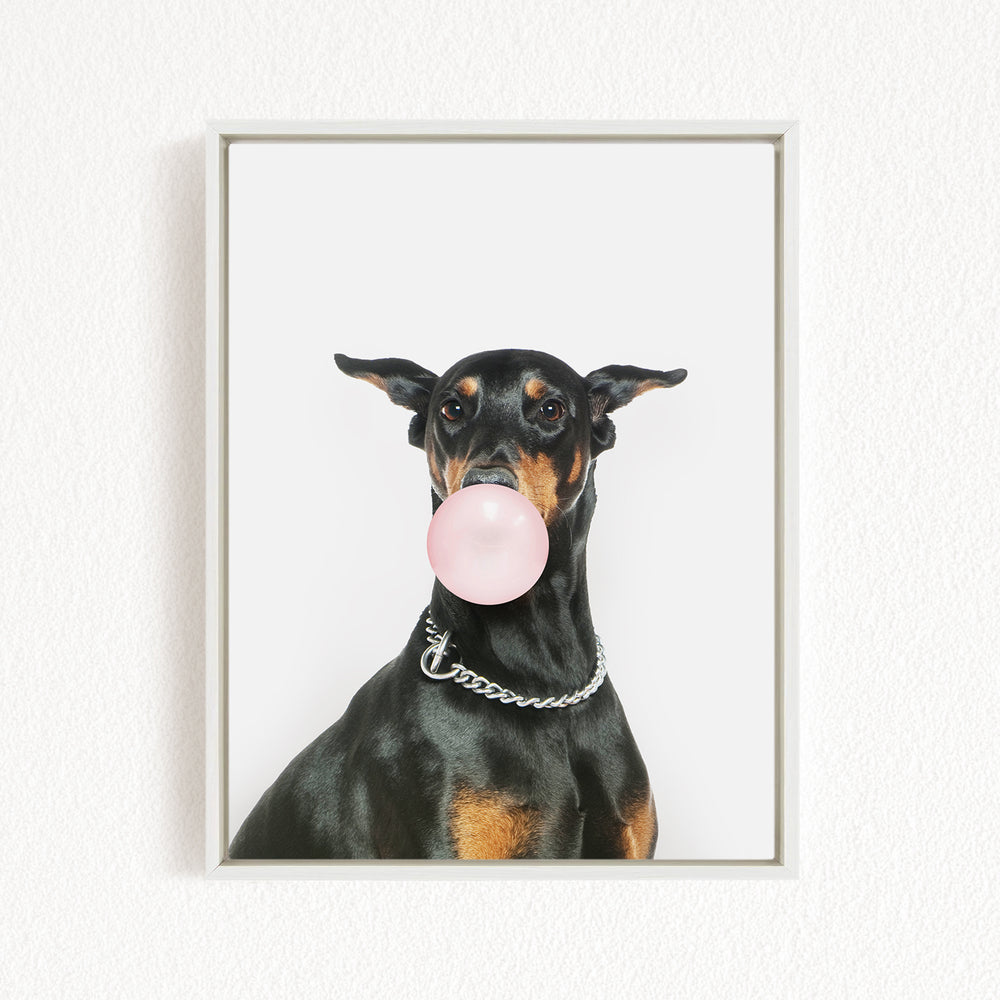 A black and brown dog is blowing a bubble with a pink bubble gum bubble wand, wearing a silver chain collar.