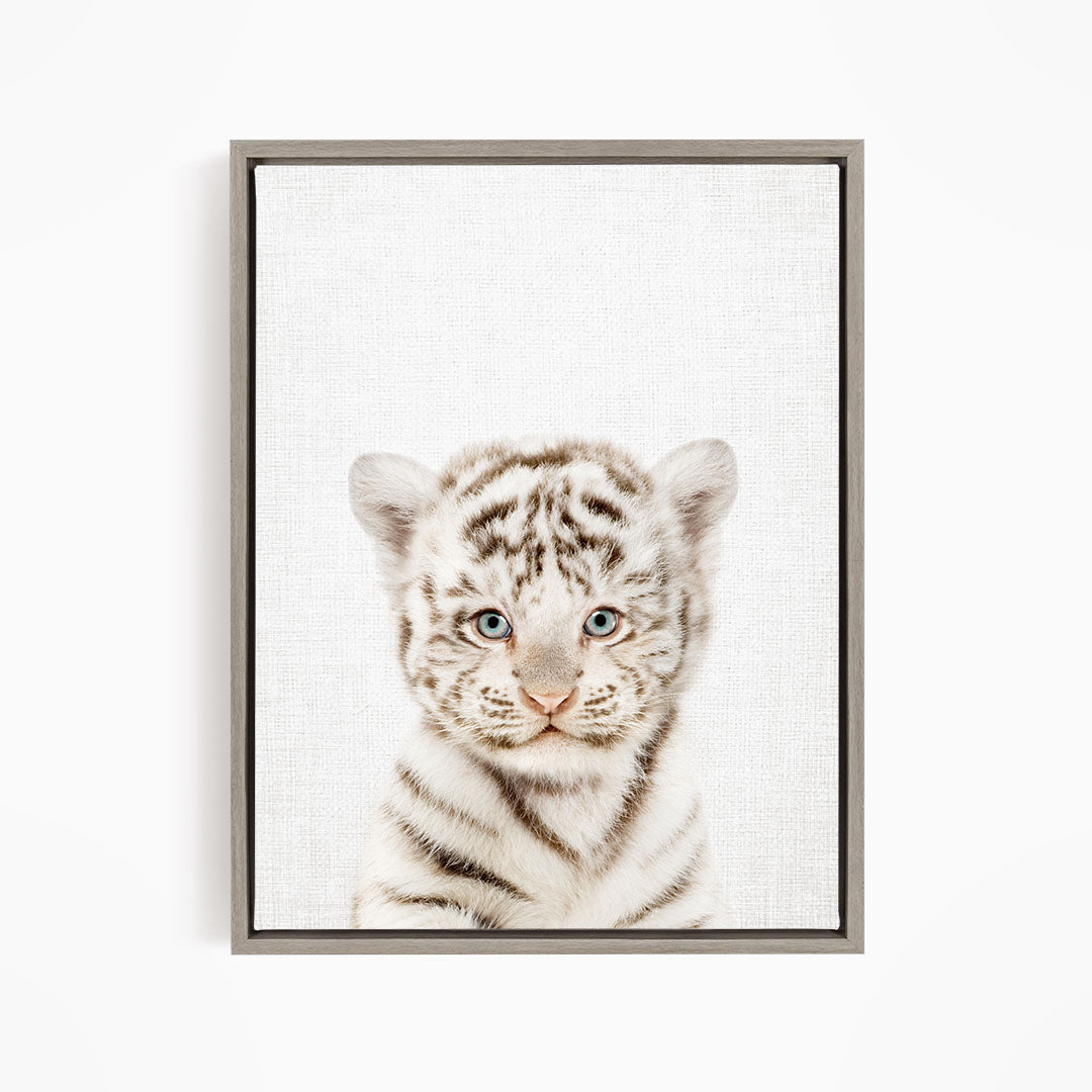 A young tiger cub with striking blue eyes and a white and black striped coat is the focal point of the image.