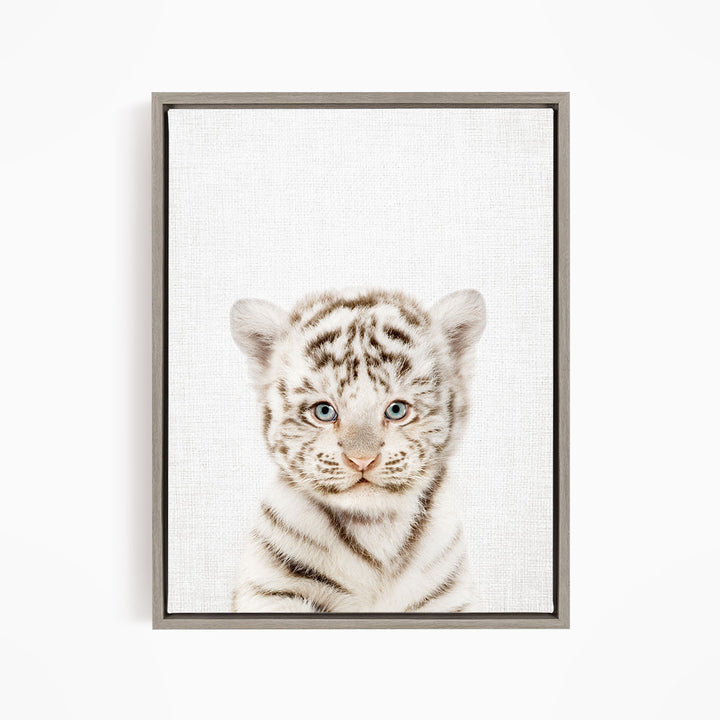 A young tiger cub with striking blue eyes and a white and black striped coat is the focal point of the image.