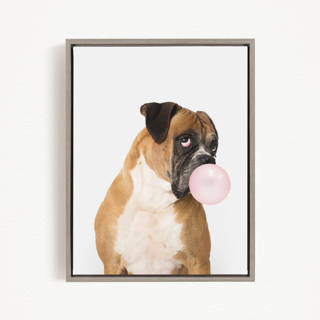 A brown and white dog is blowing a pink bubble with its mouth, creating a playful and whimsical scene.
