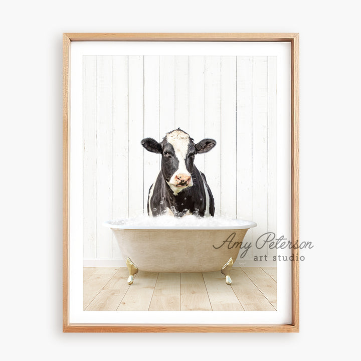 a black and white cow sitting in a bathtub