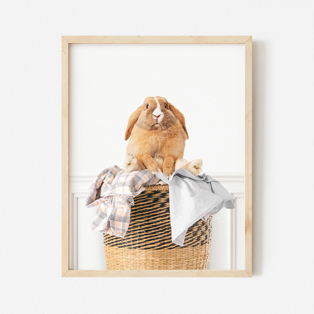 a rabbit sitting on top of a basket