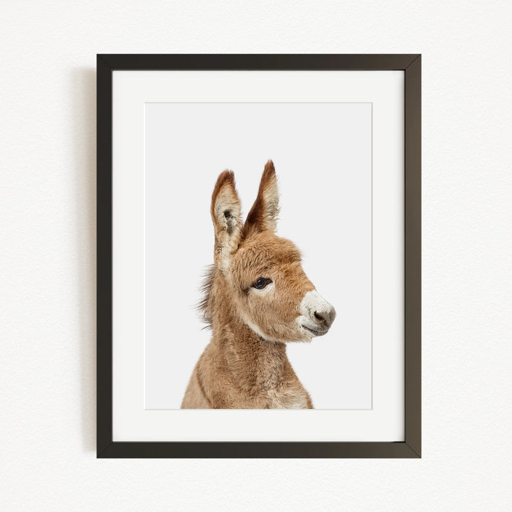A framed image of a donkey's head, with its distinctive features such as large ears and a small nose clearly visible.