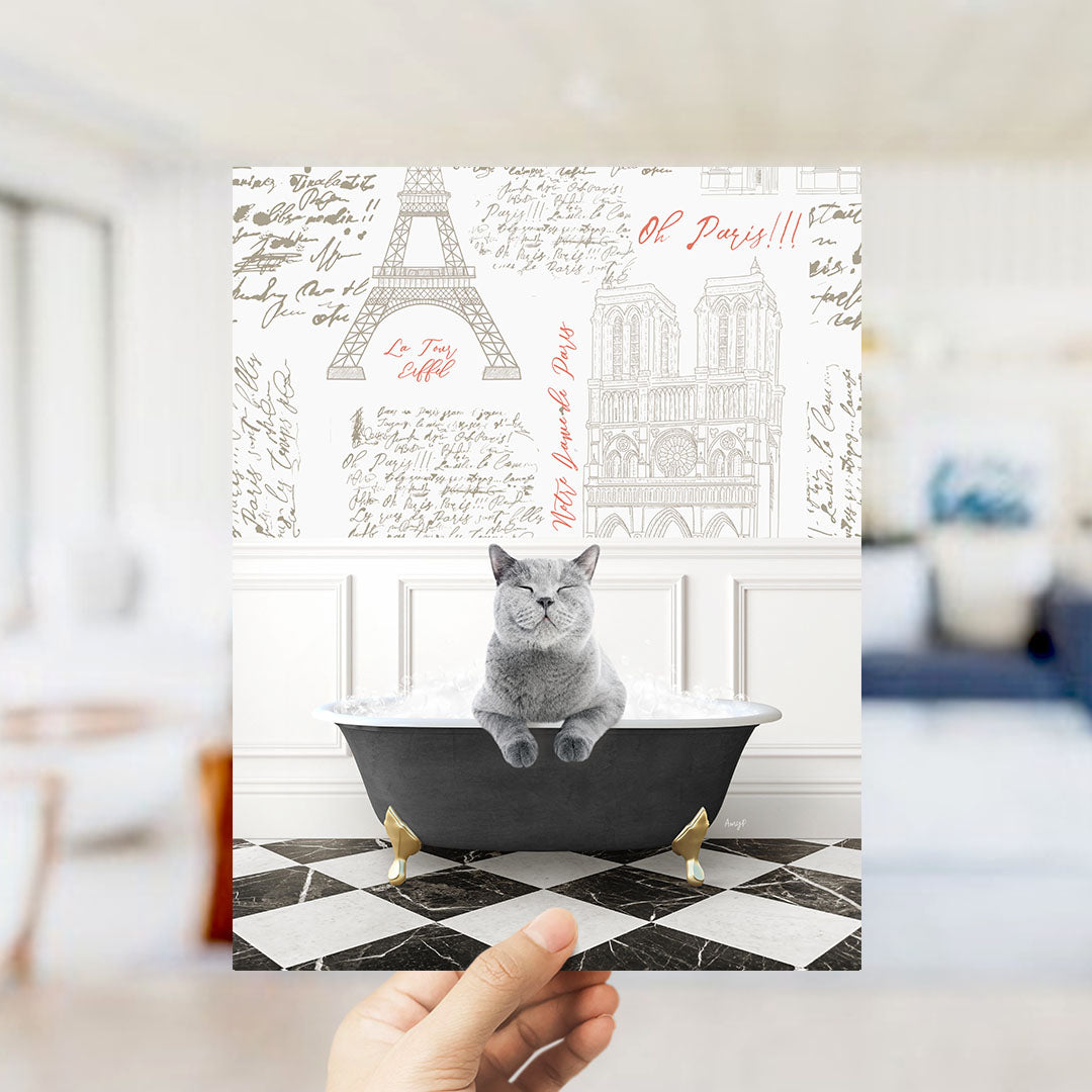 A gray cat sitting in a bathtub filled with bubbles, with the Eiffel Tower and other Parisian landmarks visible in the background.