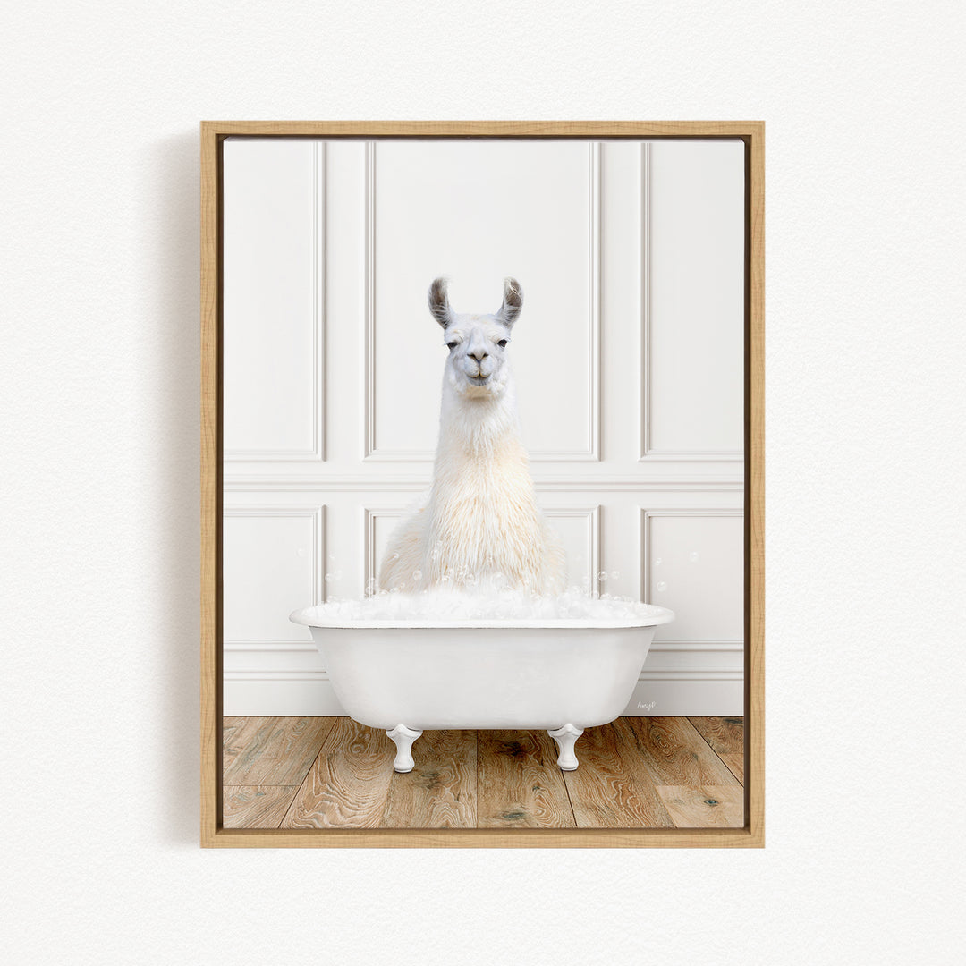 A white llama sitting in a white bathtub filled with bubbles, creating a whimsical and playful scene.