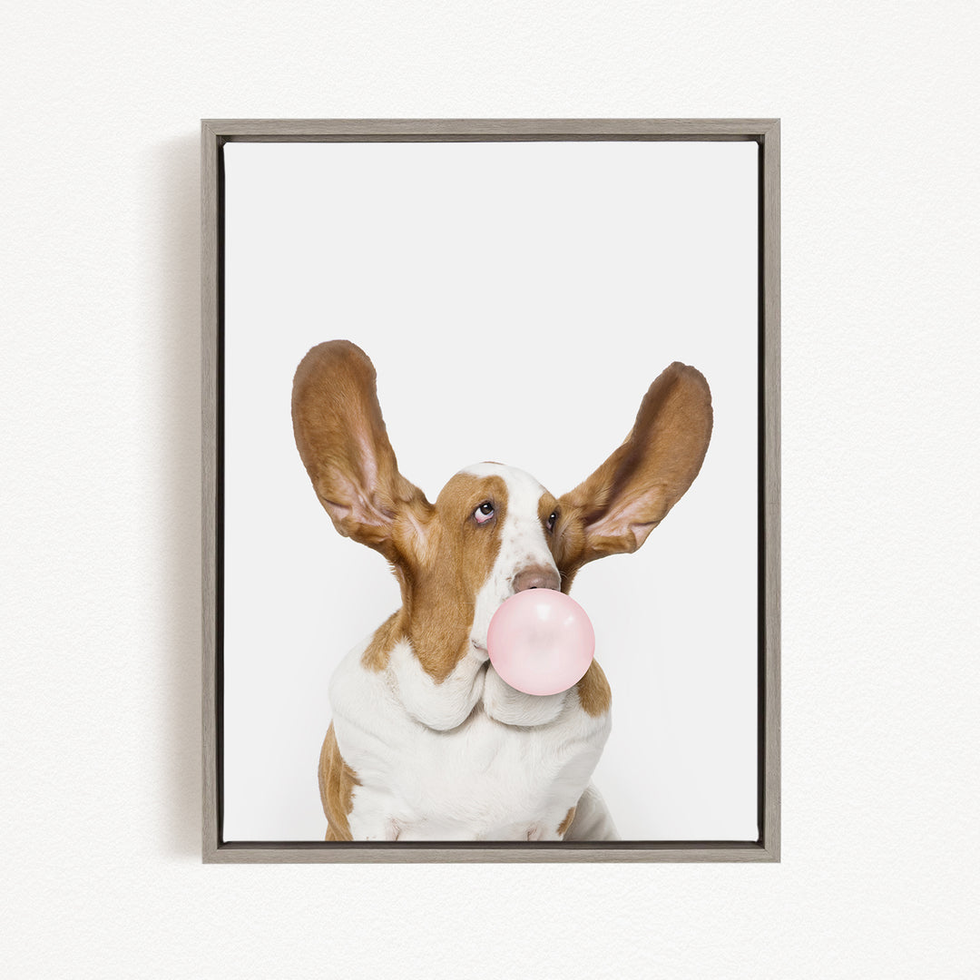 A brown and white dog with large ears is blowing a bubble with a pink bubble gum bubble.