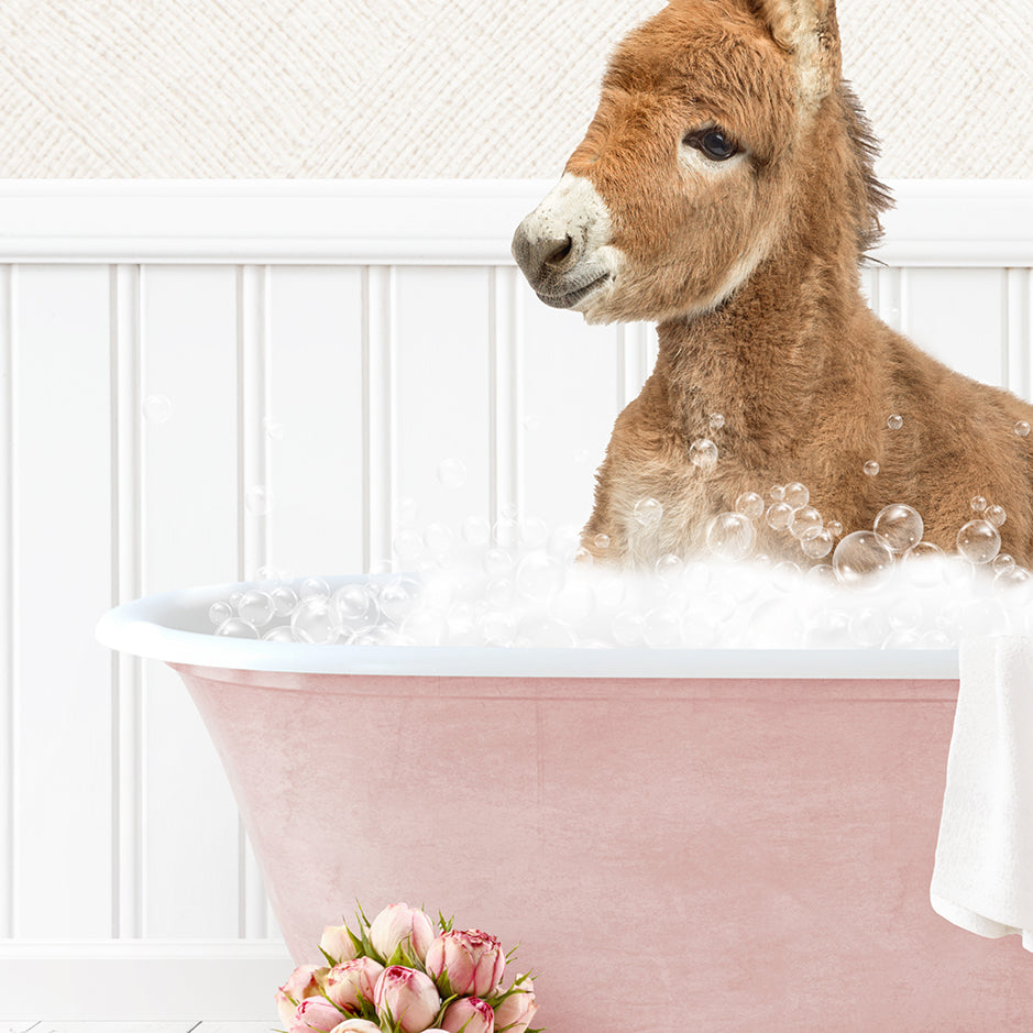 a baby donkey sitting in a bathtub filled with bubbles