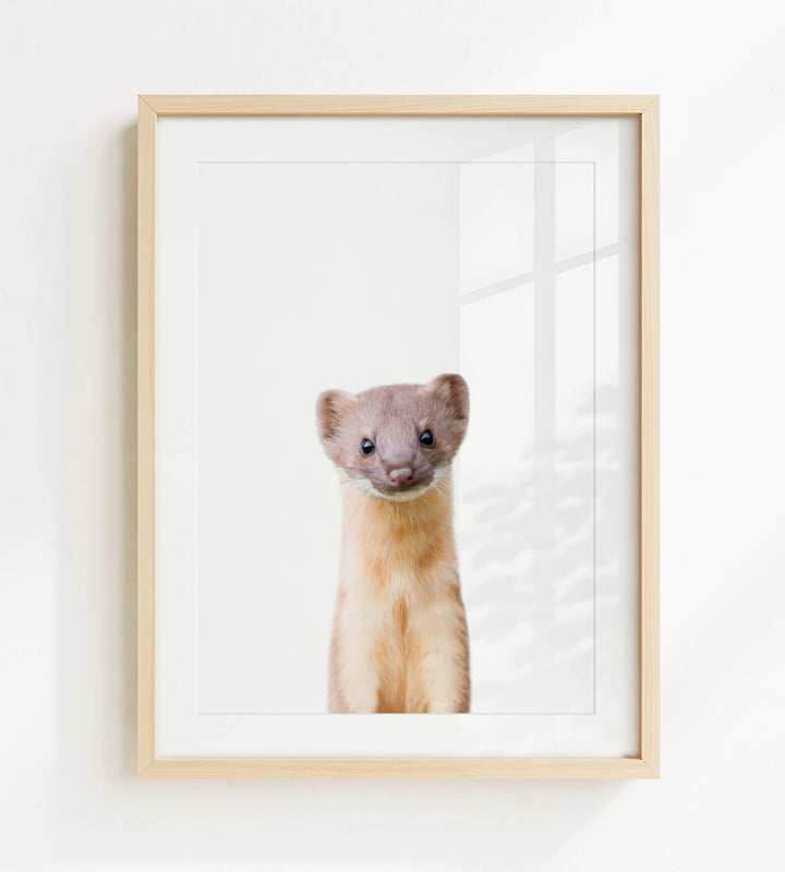 A small brown and white animal, possibly a rodent or a small mammal, is standing upright and looking directly at the camera.