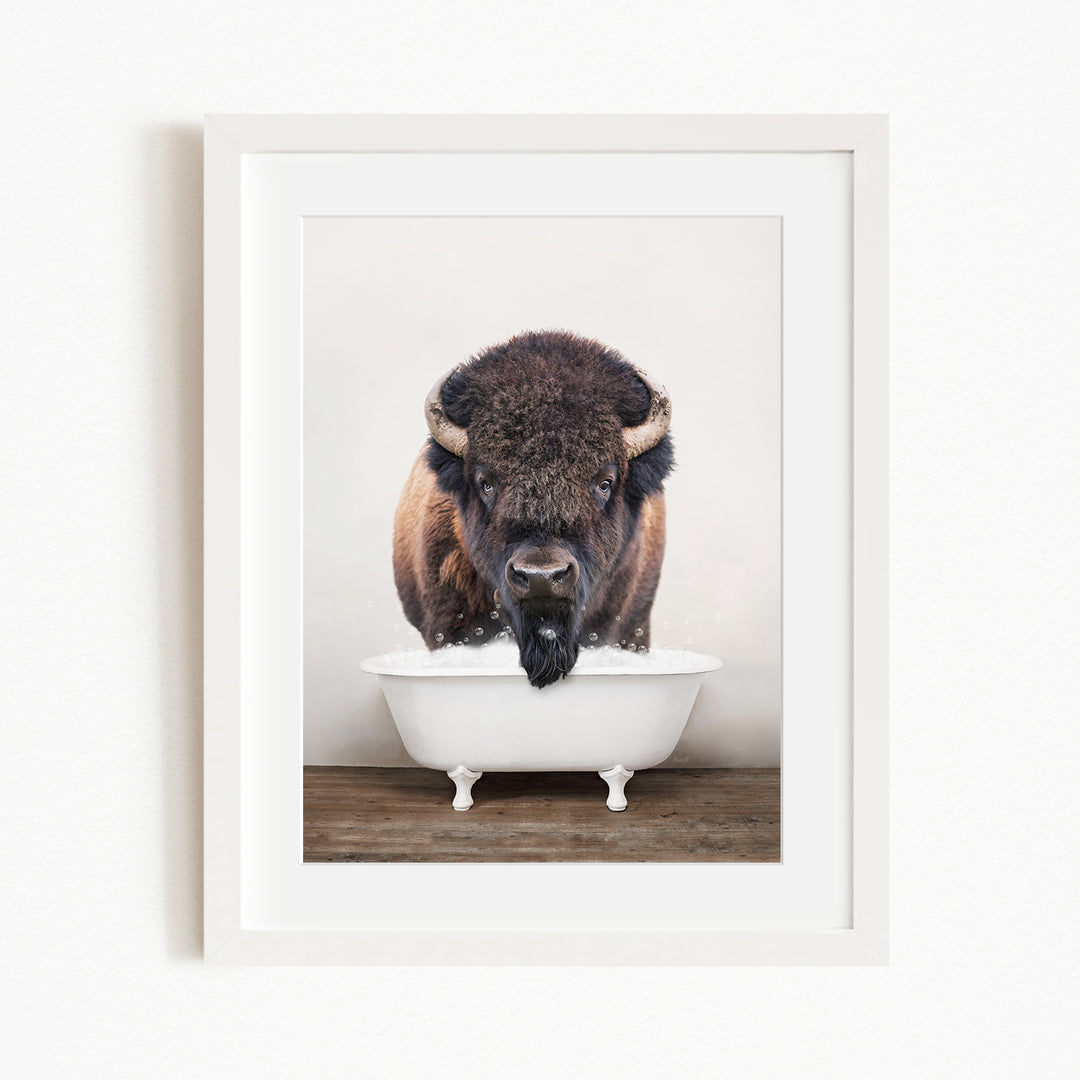 A buffalo with a black mane and horns is standing in a white bathtub, with its head submerged in the water.