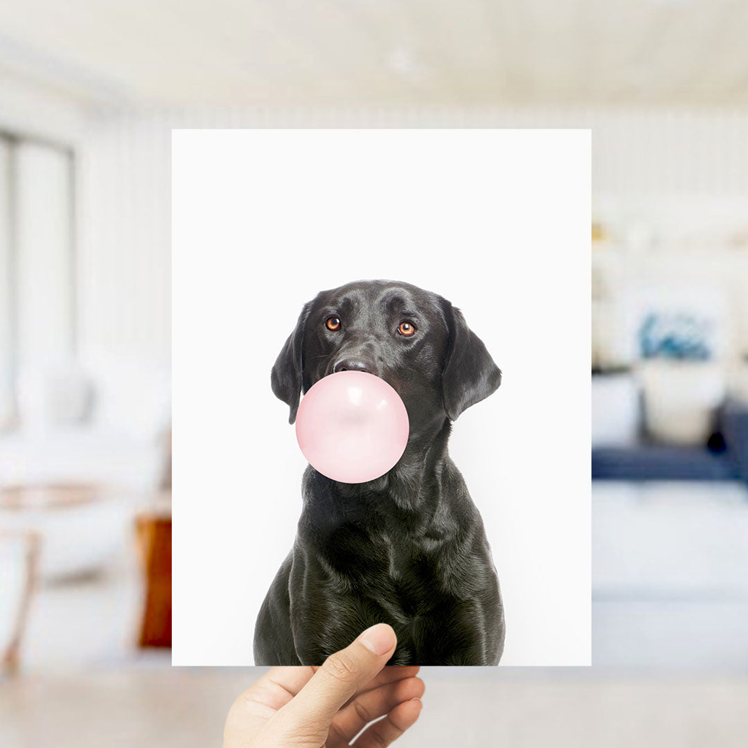 A black dog is holding a pink bubble gum bubble in its mouth, with a blurred background suggesting an indoor setting.
