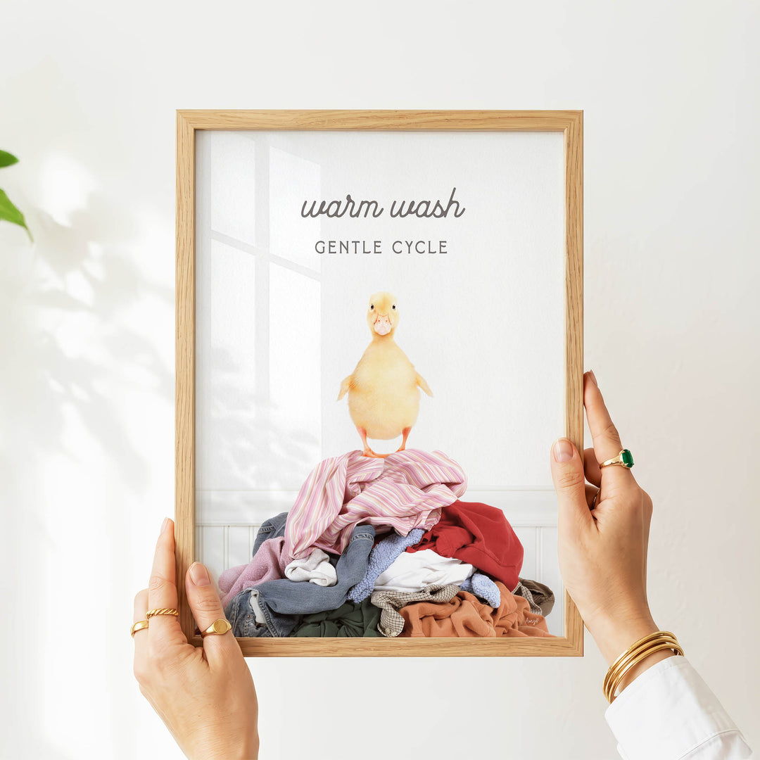 A person's hands holding a framed image of a duck standing on a pile of clothes, with the text "Warm wash" and "Gentle cycle" written above the duck.