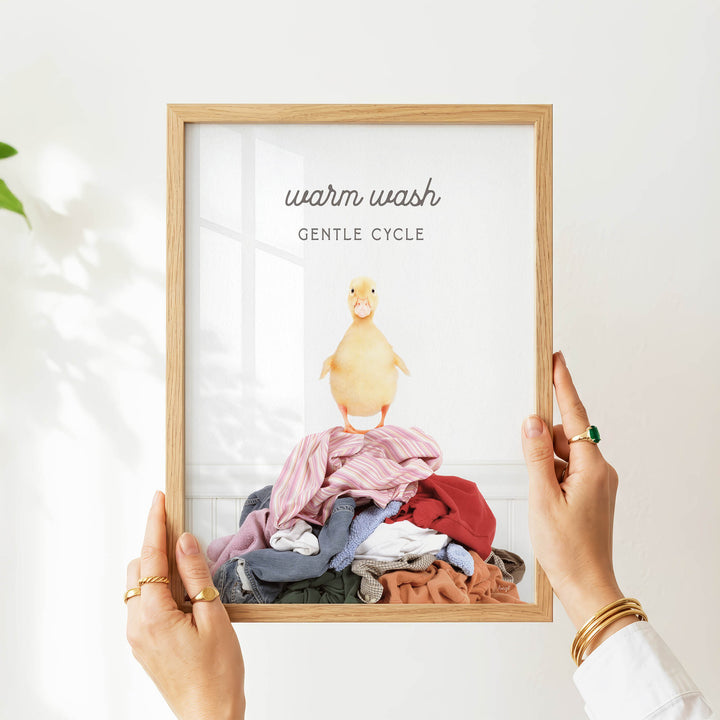 A person's hands holding a framed image of a duck standing on a pile of clothes, with the text "Warm wash" and "Gentle cycle" written above the duck.
