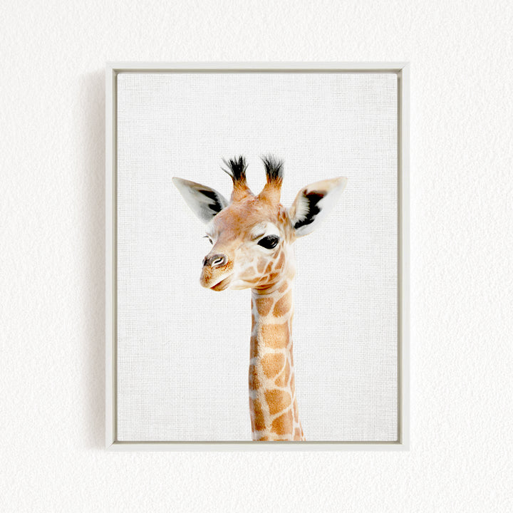 A framed photograph of a giraffe's head, with its distinctive brown and white spotted coat and small horns, is displayed on a white wall.