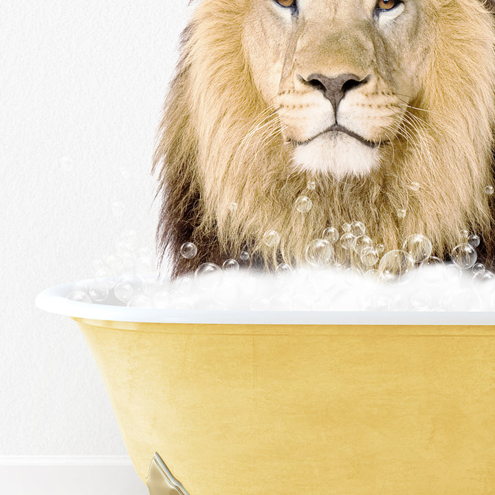 a lion sitting in a bathtub with bubbles