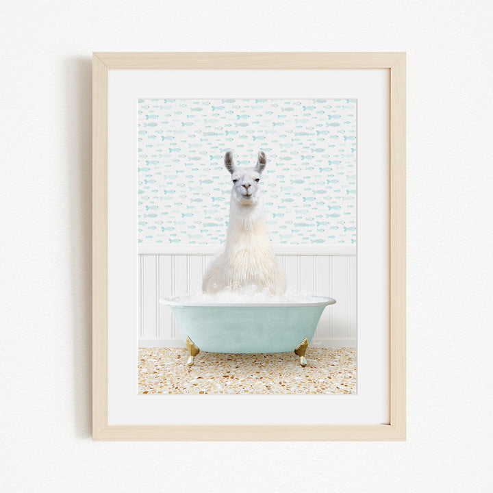 A white llama sitting in a light blue bathtub filled with bubbles, with a patterned wall behind it.