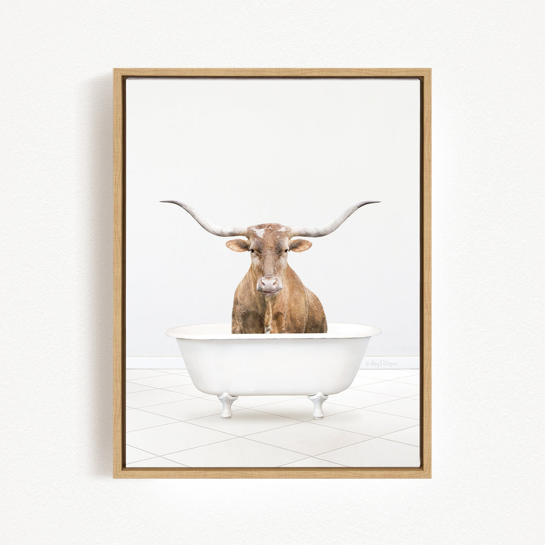 A brown cow with long horns is sitting in a white bathtub, looking directly at the camera.
