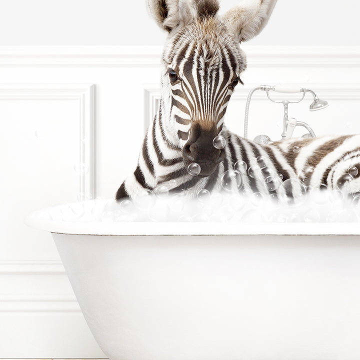 a zebra laying down in a bath tub