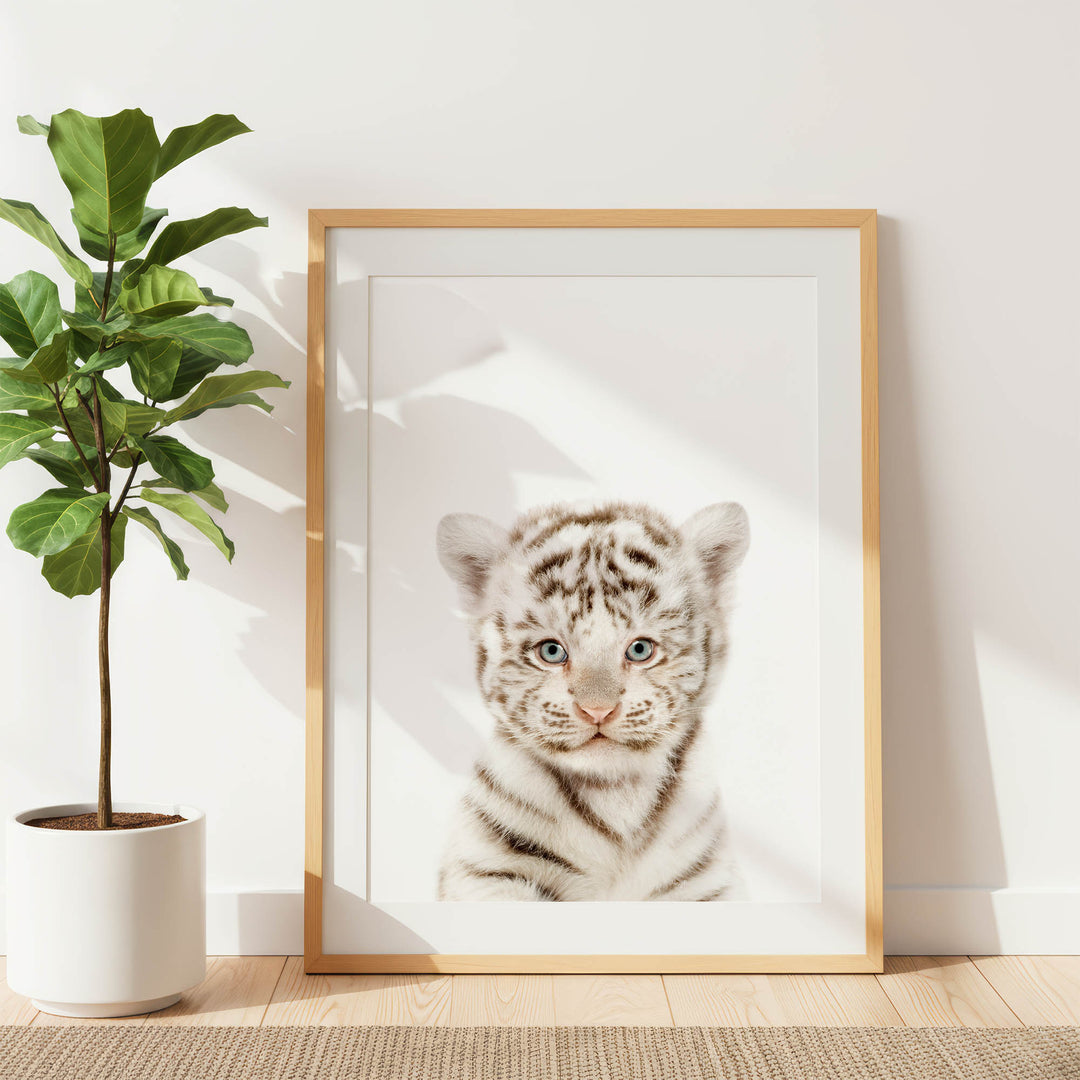 A framed photograph of a young tiger cub is displayed on a wall, with a potted plant to the left.