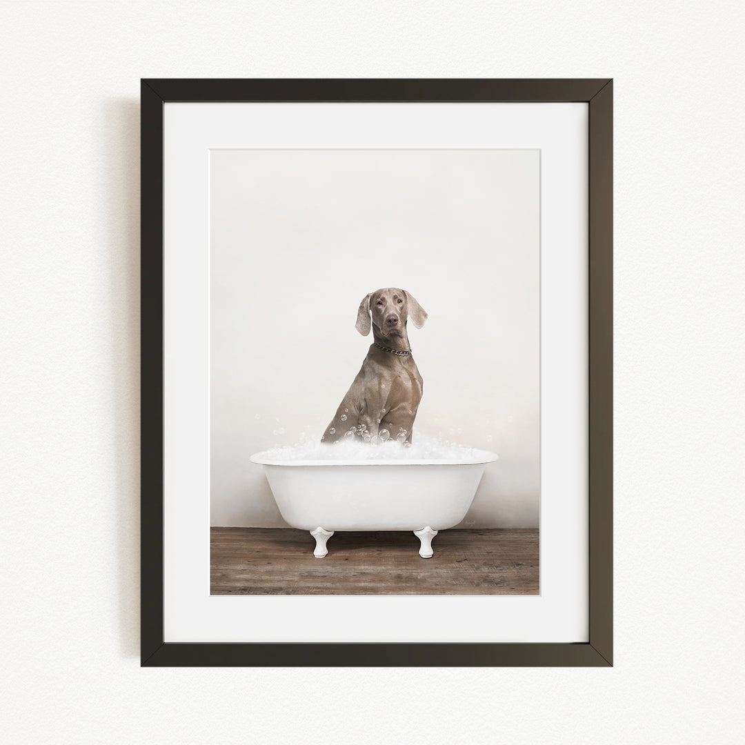 A dog sitting in a white bathtub filled with water, looking directly at the camera.