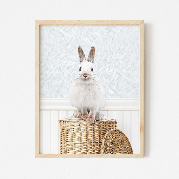 a white rabbit sitting on top of a basket